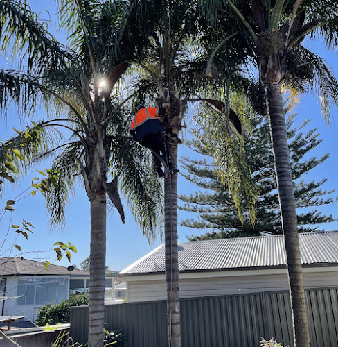 AAA Ace Tree Care in Liverpool