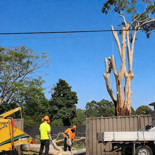 Ace Tree Care in Parramatta