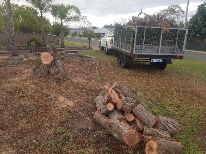 Action Tree & Garden Services in Bunbury