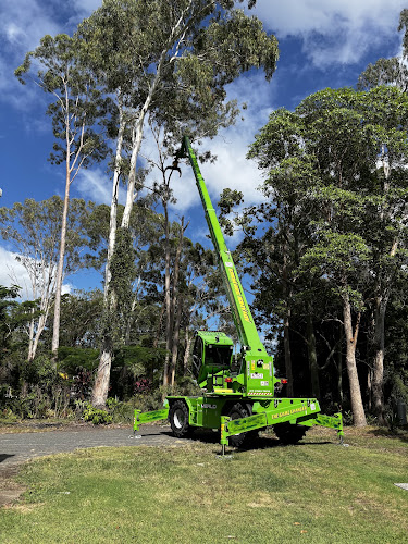 Advance Tree Works in Dundowran