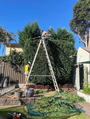 All Aspects Landscapes in Parramatta