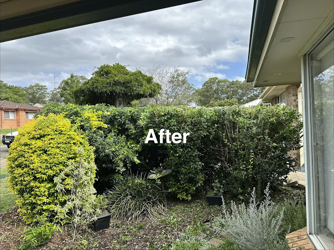 All Tree Pros Removal Services Sydney in Lurnea