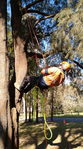 All Tree Services Manning Valley in Port Macquarie