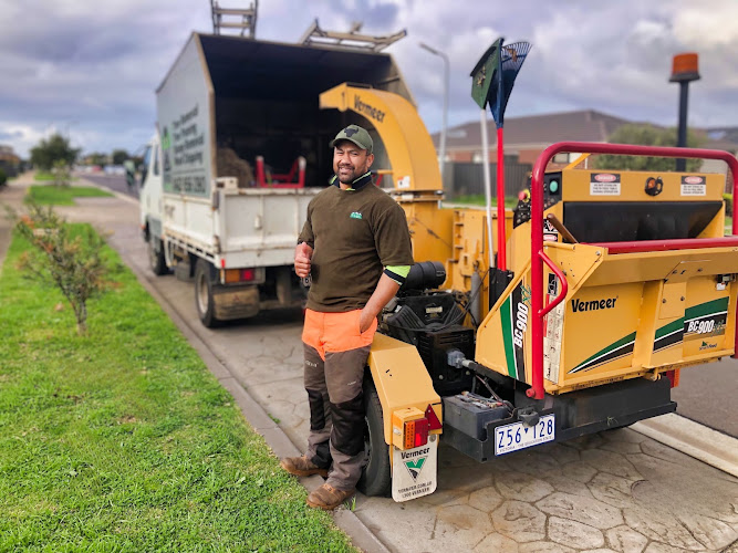 Aps Tree Removal in Werribee