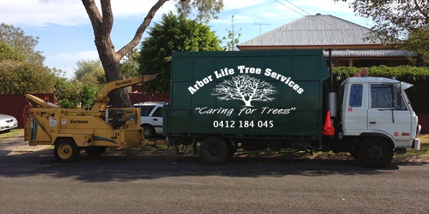 Arbor Life Tree Services Pty Ltd in North Toowoomba