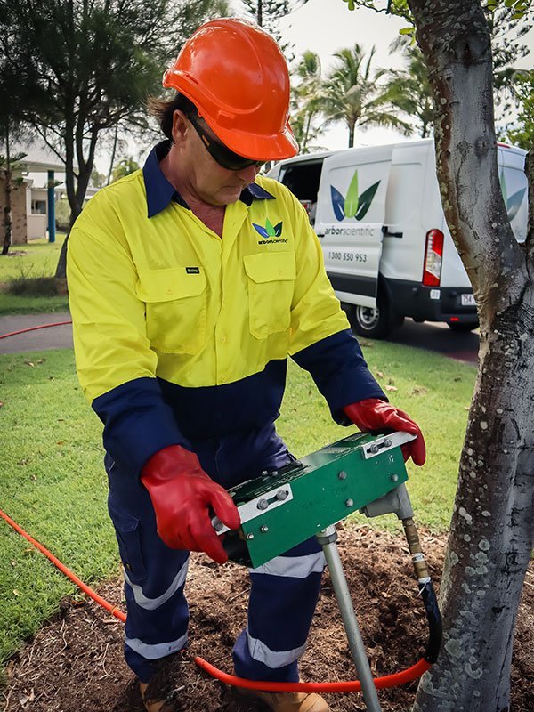 Arbor scientific in Maroochydore