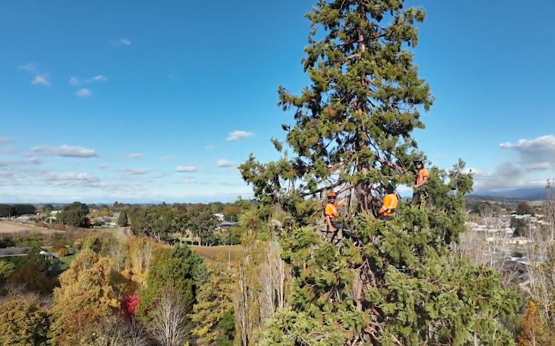 Arbscape Tasmania in Launceston