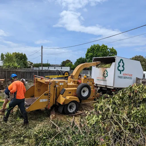 Armitage Tree Services in Moolap