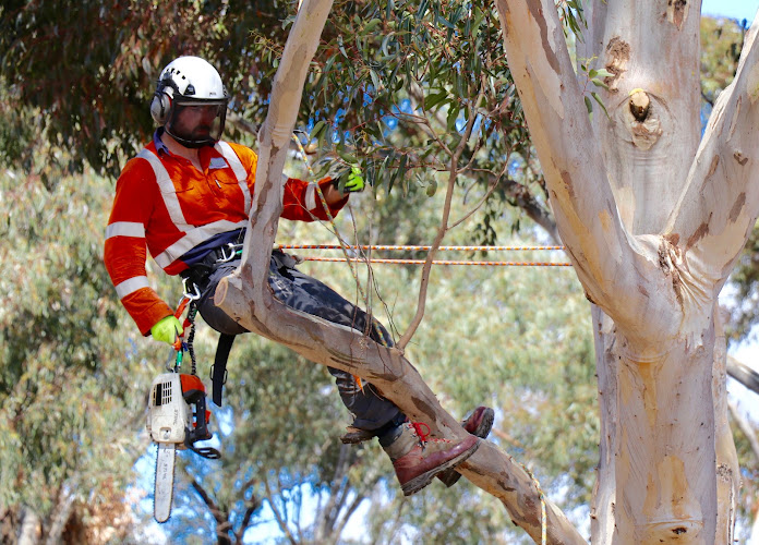 Aspect Tree Management in Geelong