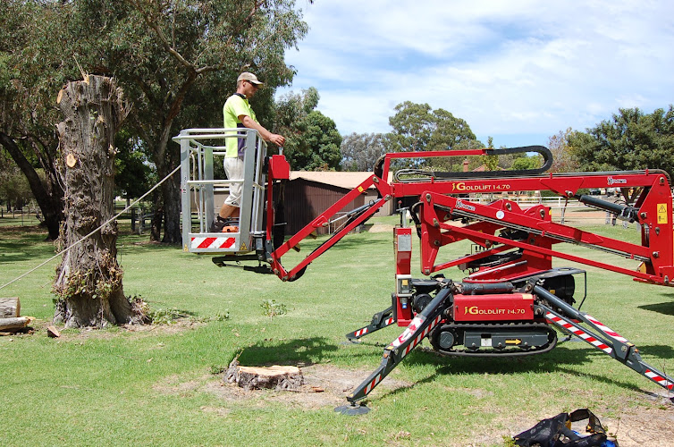 Assured Tree Services in Perth