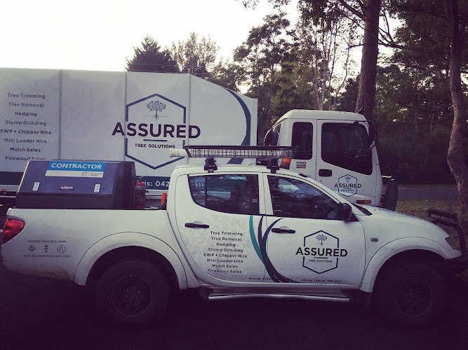 Assured Tree Solutions in Nowra