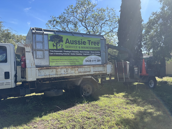 Aussie Tree Service & Maintenance in Tamworth