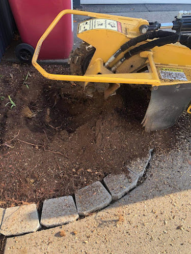 Australian Stump Grinding in Brisbane