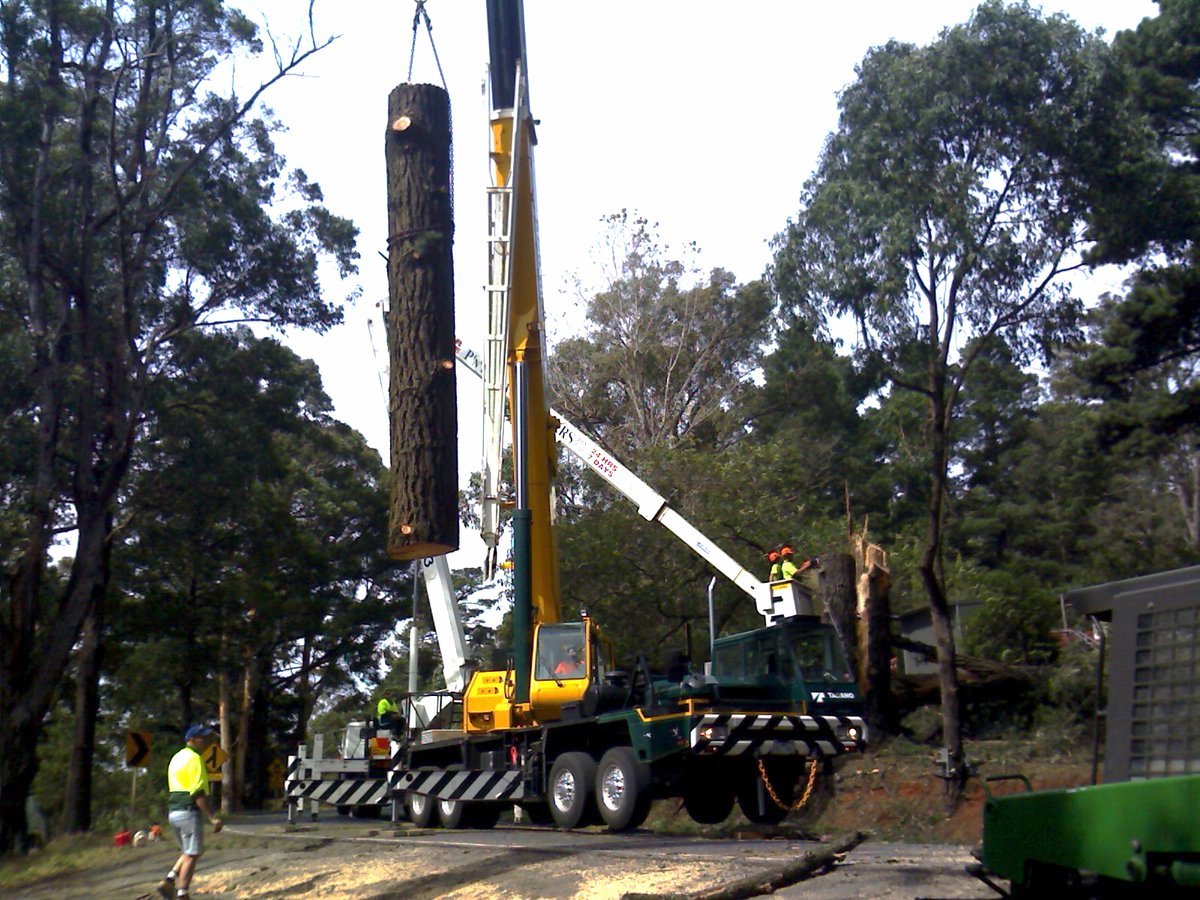 Austree Pty Ltd in Berwick