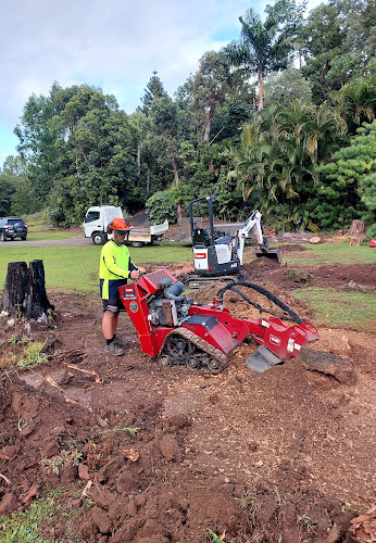 Axemen Stumpgrinding & Lawn Care in East Mackay