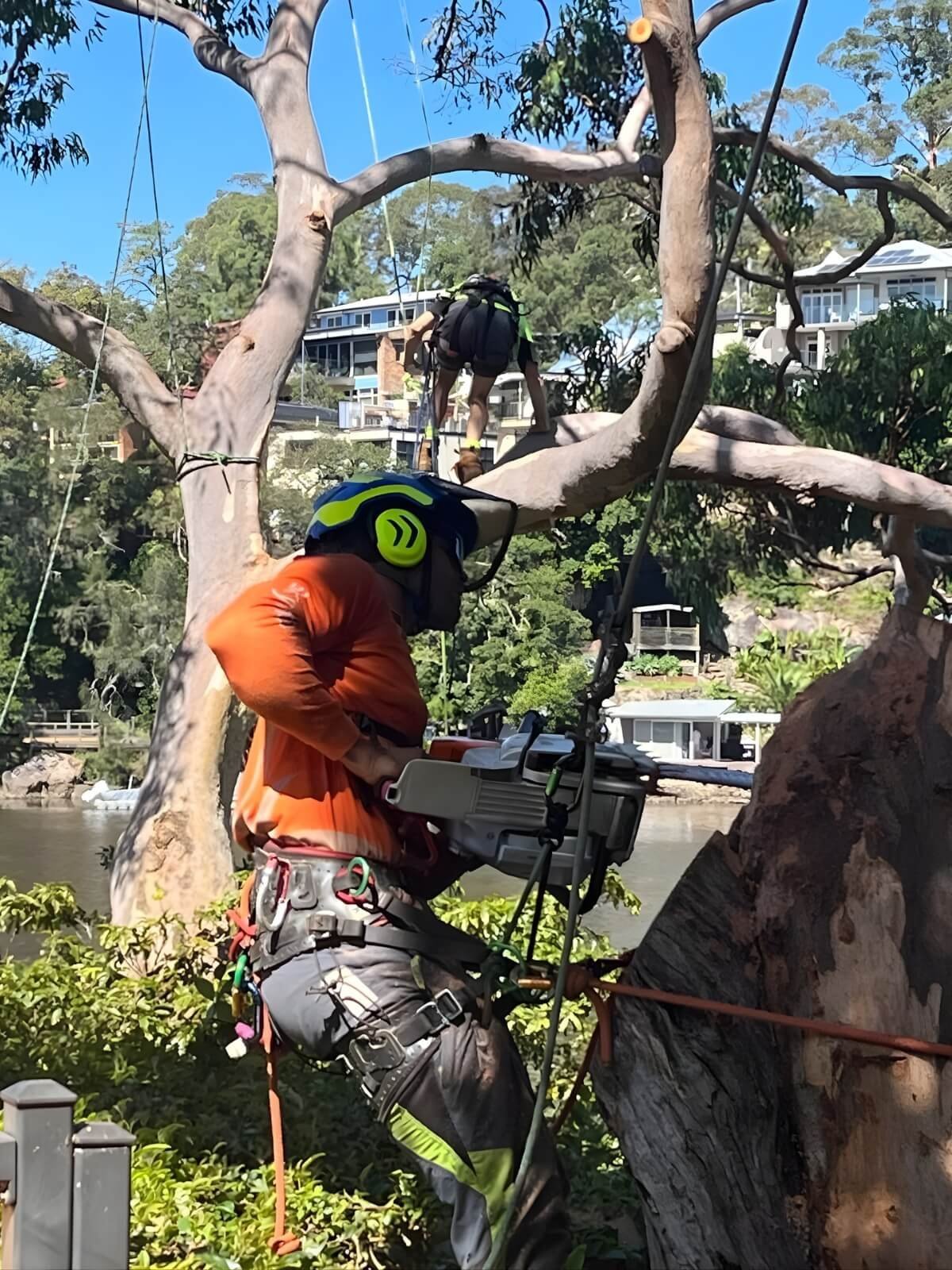 BizzyBug Property Maintenance in Kirrawee