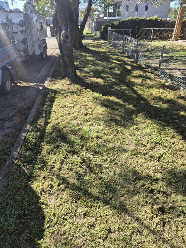 B&M Stump Grinding Services Redcliffe in Clontarf