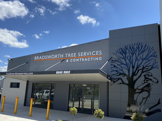Bradsworth Tree Services & Contracting in East Albury
