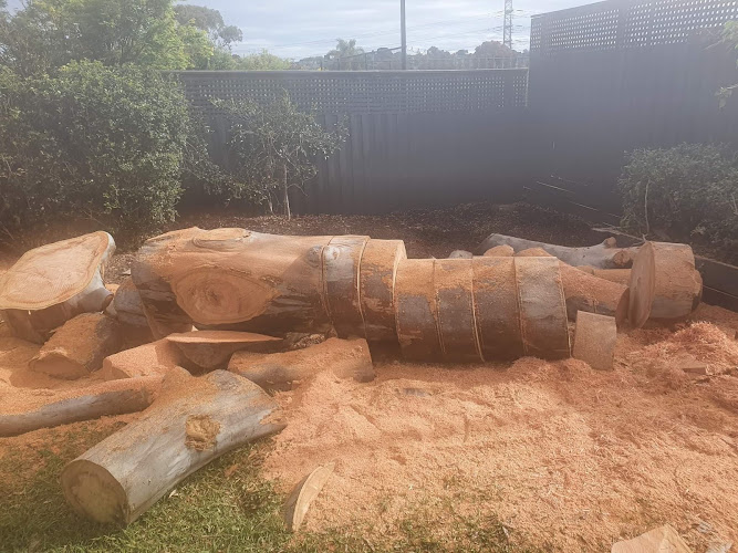 Branch Out Tree and Vegetation Services in Berwick