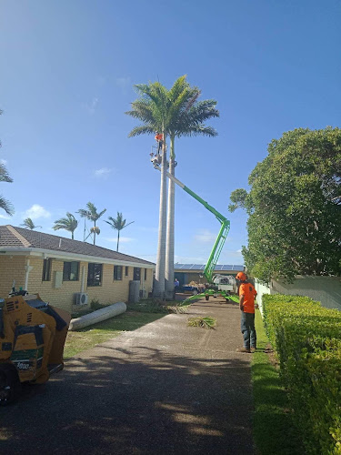 Bundy & Bargara Tree Service in Gooburrum