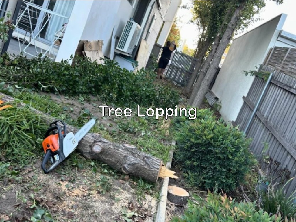 Canberra Landscaping Solutions in Canberra