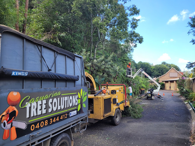 Casuarina Tree Solutions in Tweed Heads