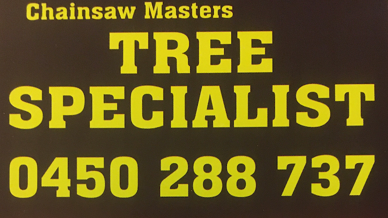 Chainsaw Masters in Midland