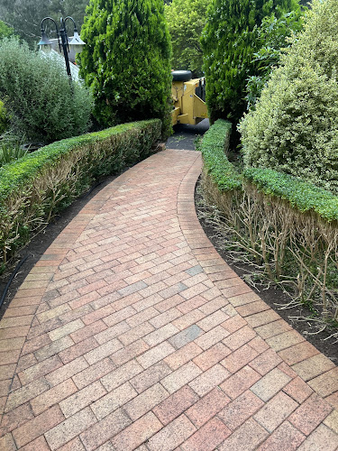 Cheapest Cut Tree & Hedge Removal in Melbourne