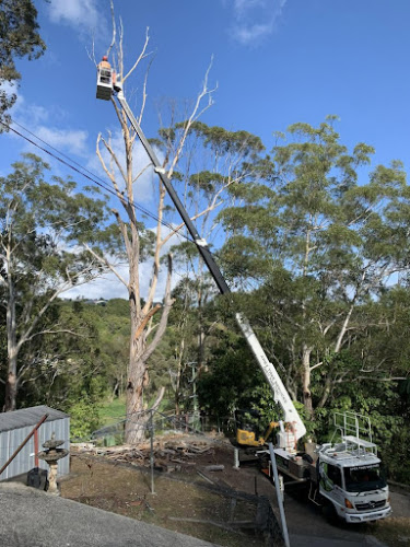 Coast to Coast Tree Works - Tweed Heads Tree Experts in Tweed Heads