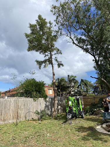 Conway Tree Services in Frankston