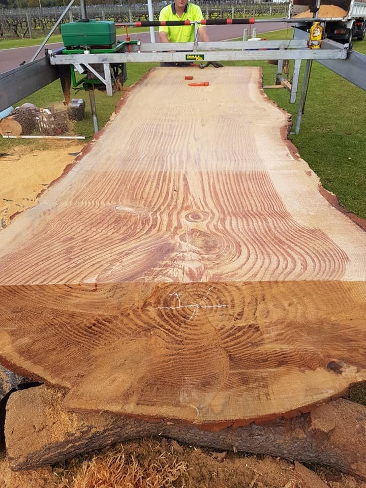 CPD Tree Services in Midland