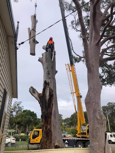 Cumberland Tree Lopping & Removal Services in Parramatta
