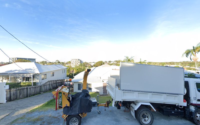 Custom Tree Lopping in Tweed Heads West