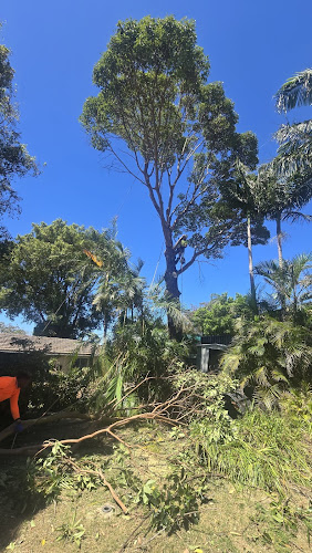 Cut 4 Less Tree Services in Liverpool
