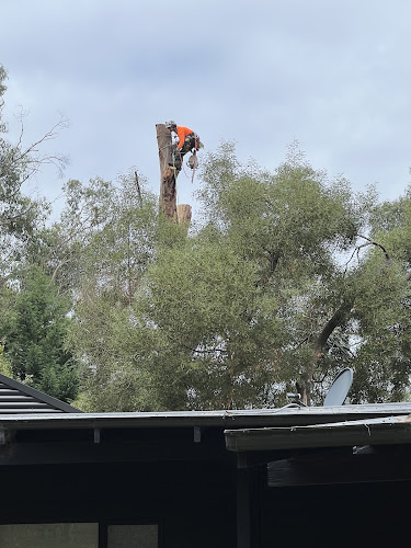 Cut It Right Tree Service Frankston in Frankston