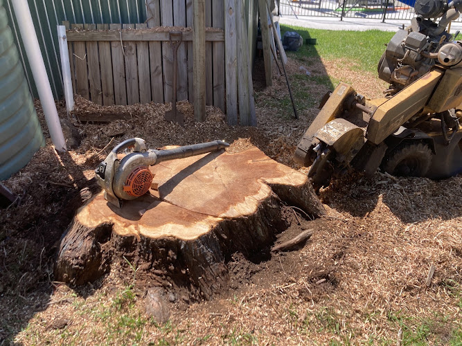 DJ's Stump Grinding Hock street Thornlands in Cleveland