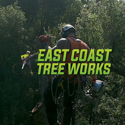 East Coast Tree Works in Brisbane