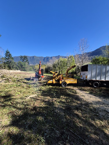 East Point Tree Care in Lismore