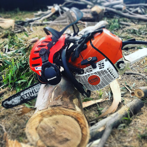EasyCut Tree Services in Cartwright
