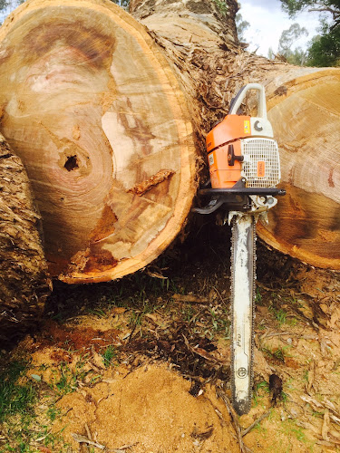 Eco Tree Care in Albury