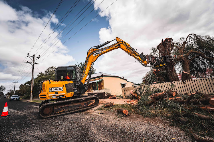 EDI Tree Services in Mount Gambier