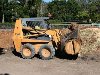 Elite First Choice Tree Surgeon in Blacktown
