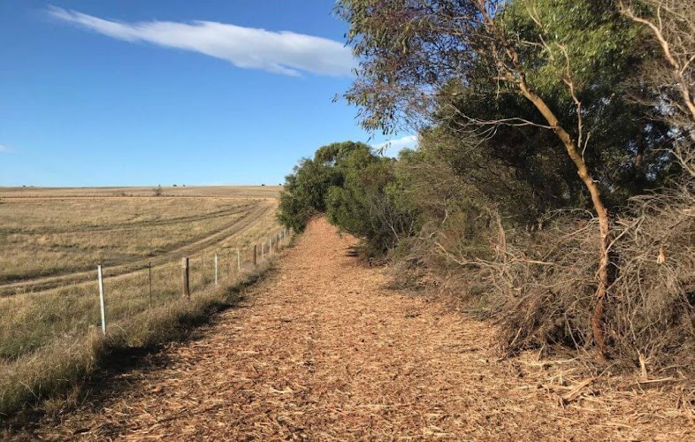 Envirotrim in Hindmarsh Valley