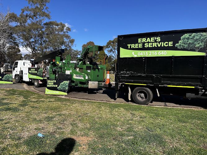 Erae's Tree Lopping Services in Muswellbrook