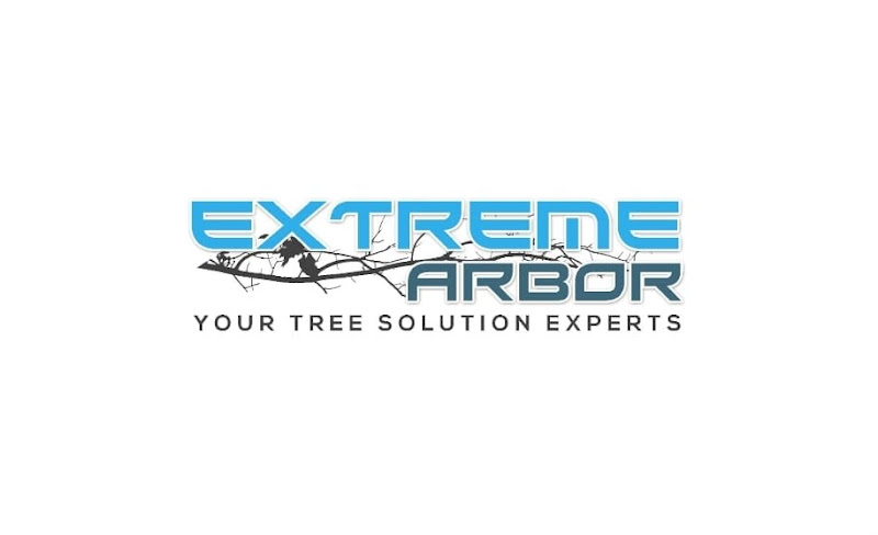 Extreme arbor in Parramatta