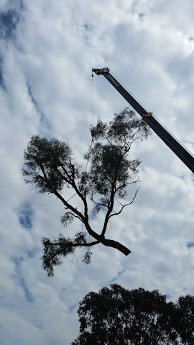 First Class Tree Care in Canberra