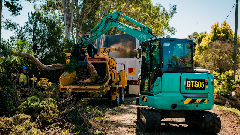 Garwood Tree Services in Rockville