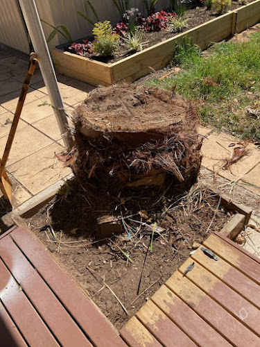 Gawler Stump Removal in Gawler