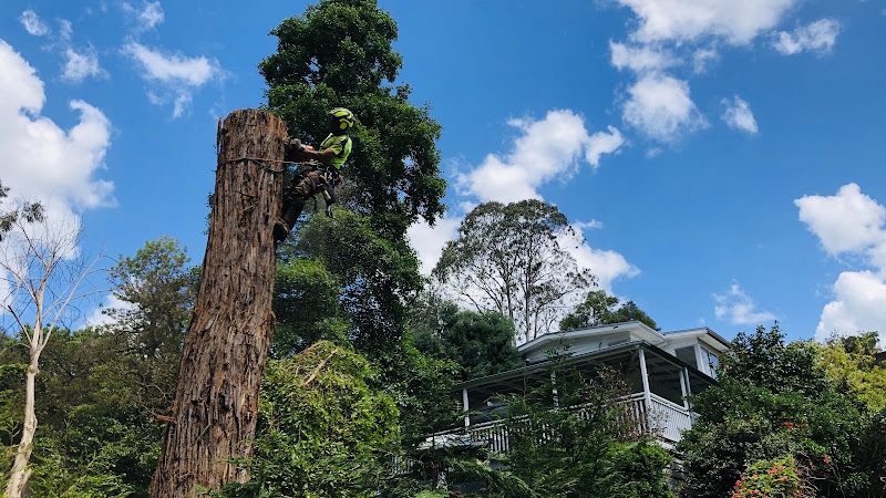 Grandview Tree Care in Berwick