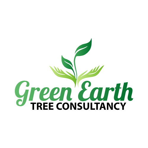 Green Earth Trees in Nowra